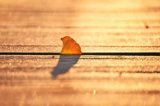 挽回就是要锲而不舍,坚持不懈，才能挽回！