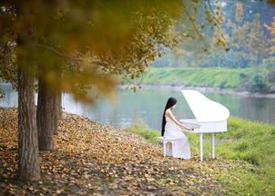 挽回双子男的心,如何挽回双子男的心