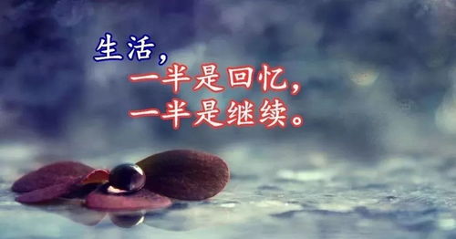 夫妻伤心挽回的句子,夫妻感情修复心情愉悦