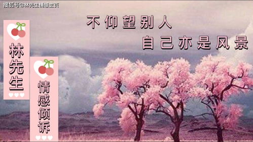 挽回被抛弃的婚姻,重修旧好