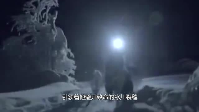 挽回性命反遭质疑2356,怀疑好人间惊险解救生命