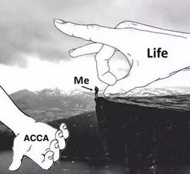 抖音包姐挽回，抖音教父情感大片：包姐艰难挽回