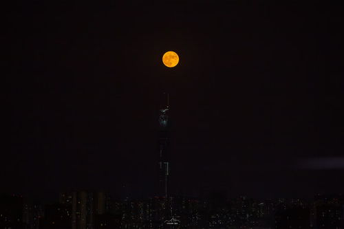 月亮双子怎么挽回,双子座爱人如何重新敲开月亮之门