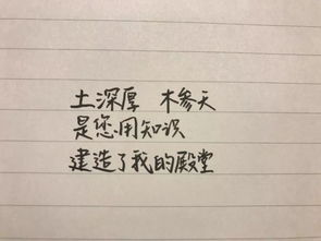 绝情是否需要挽回歌词,绝情是否可挽回？歌词深情告白
