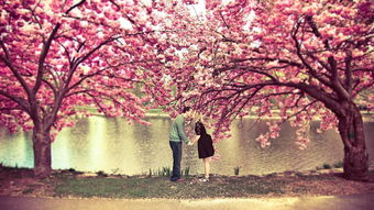 教你分手如何挽回对方,挽回分手对象的技巧