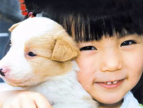 如何挽回狗狗的心,重新建立与宠物狗的感情