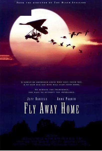 如何挽回家庭温情,家庭温馨的重启方式)