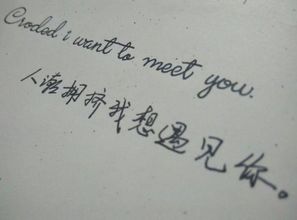 挽回爱情的英语诗句,从爱到相爱，细说缘分相护