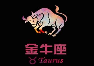 怎么挽回金牛女前任,挽回金牛女前任的技巧