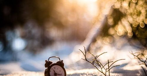 挽回感情的文案长句,挽回爱情大全，成功收获幸福！