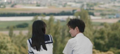 能够挽回爱情的电影,挽回爱情：浪漫电影大盘点