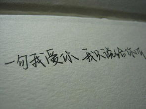 挽回爱情情感小故事,他用笔记本记下生活，终究没有忘记她的存在新标题：笔记里的思念