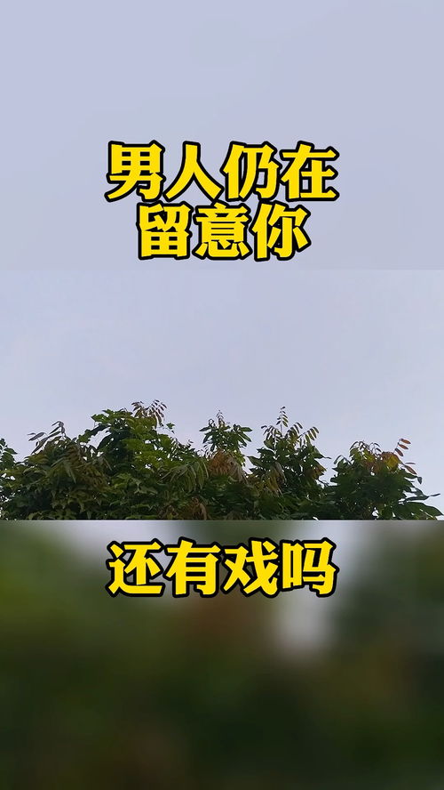 甘孜爱情挽回专家热线,甘孜情感挽回咨询热线