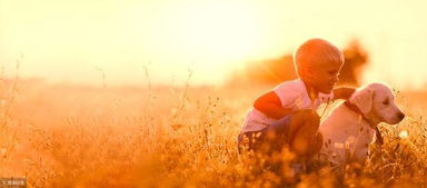 如果挽回自己的形象,如何重树自我形象