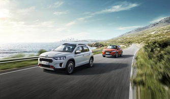 雪铁龙靠它挽回颜面,雪铁龙重振声誉主力