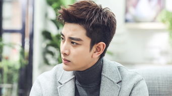 贾乃亮回应复合挽回男友,贾乃亮否认复合，断言友情不变