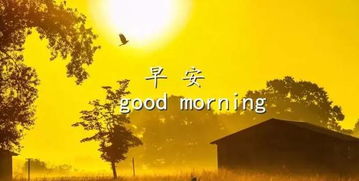 明月当的挽回,如何挽回失去的爱情