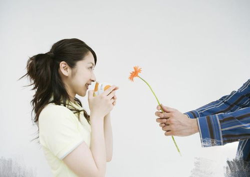 吵架了怎么挽回感情，如何修复因争执而破裂的感情