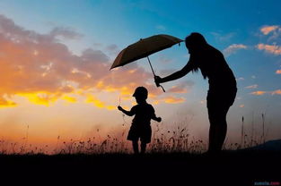 曾想找你挽回歌词,寻回你的心，重拾爱的初心