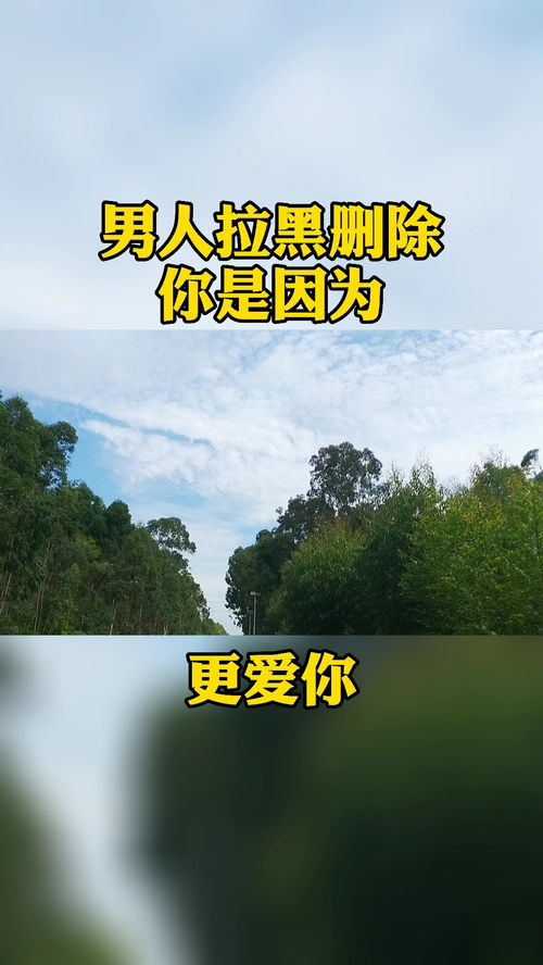拉黑删除的挽回,删除后的挽回，如何做？