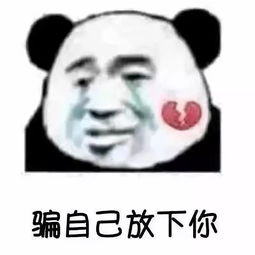 挽回面子表情包,挽回尊严表情包集锦)