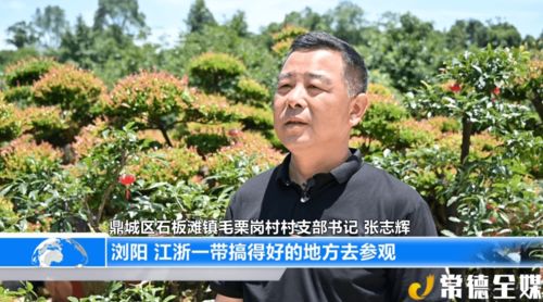 花镇还是再挽回,重振花镇