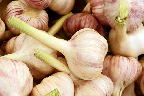 糖蒜变绿了怎么挽回,绿色的糖蒜怎么改变回来？)