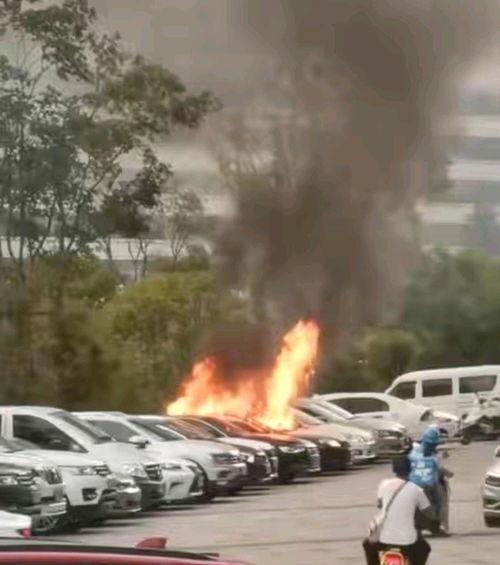 昭通情感危机怎么挽回，昭通情感危机的救援计划