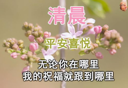 挽回前任发节日祝福,用节日祝福挽回前任，新标题：节日问候成挽回良机