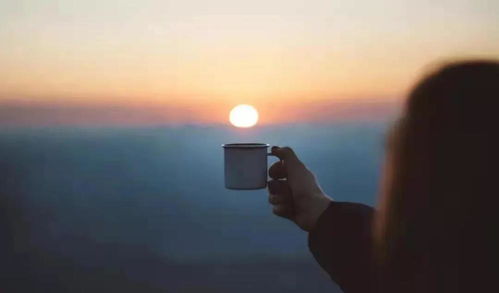 卑微纠缠该怎么挽回,失落的爱，挽回细节