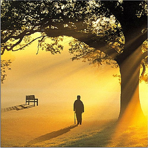 挽回爸妈爱情的诗句,挽回家庭美满的诗篇