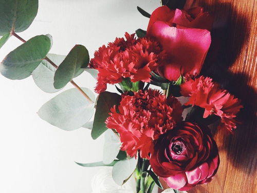 道歉挽回买什么花,买花道歉挽回尴尬局面