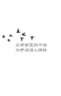 挽回by影子飞过sky,挽回爱情