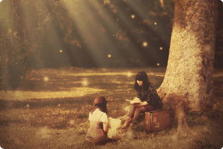 清云道长挽回情感,清云道长成功挽回爱情