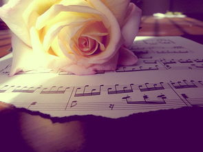 成都简单爱情感挽回,成都男子真爱挽回