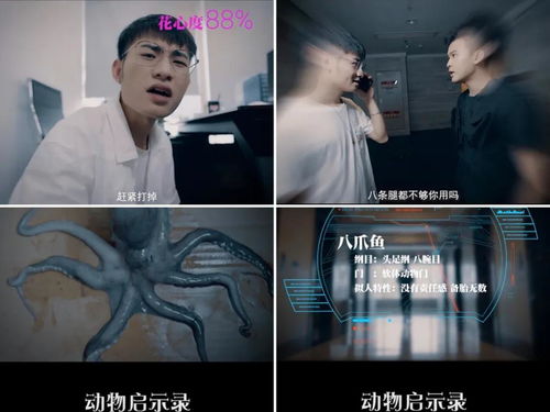 抖音挽回情感剧,抖音情感剧：重返爱的起点