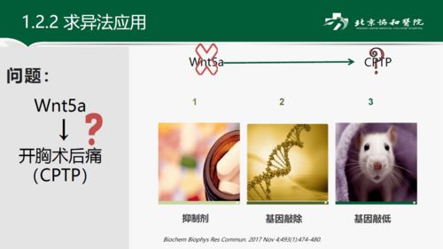 挽回关系逆转的方法,如何让关系逆转，成功挽回？