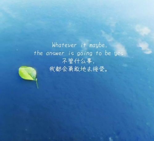 要放下才能挽回吗,挽回爱情，需要先学会放手