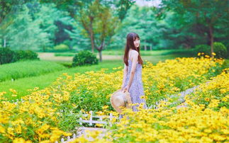 告诉是不是不能挽回,是否无法挽回？