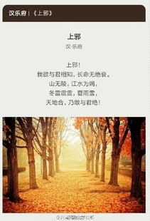 岁月远去难挽回原唱,岁月静好，回忆重现