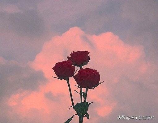 删除最爱的人很难挽回,失去最爱如何重拾幸福