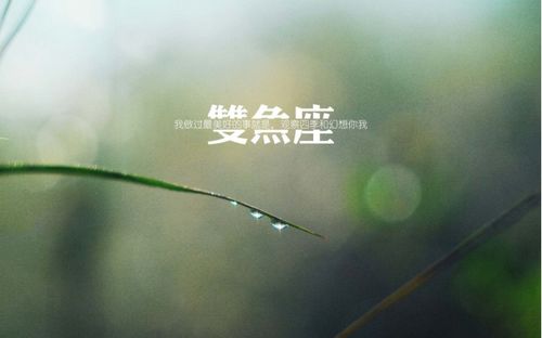 把双鱼绿了怎么挽回，双鱼的心已凉？如何重拾爱情火花？