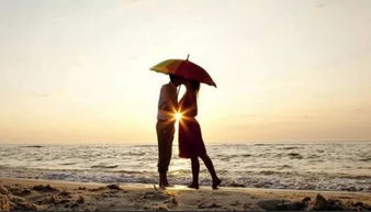 错过的我从不挽回,错失机会的我重新出发