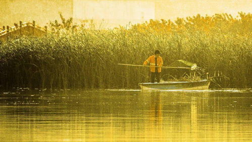 挽回甜蜜小说番茄小说,《夕阳下的甜蜜挽回》