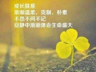 当爱已逝去不可挽回，如何面对因爱已逝去的人生？