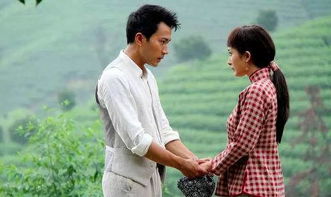 电视剧挽回妻子，重返爱情路：离婚妻子复婚计划