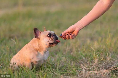 舔狗挽回教程,舔狗必看：成功挽回ta的技巧