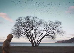 真正挽回情感的机构，如何从失败的感情中崛起？成功挽回感情的方法！