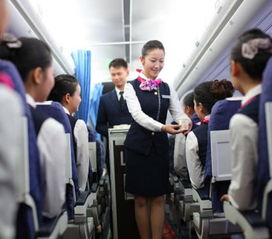 机长挽回155名乘客,机长成功保证155名乘客安全
