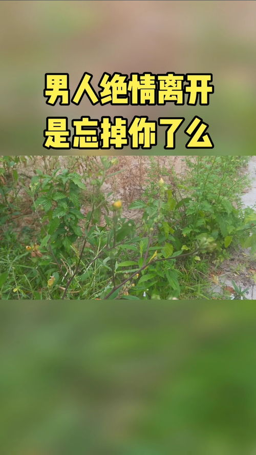 男人放弃前怎么挽回,如何挽回离去的男人